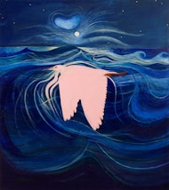 A pink heron flying over the sea at night.