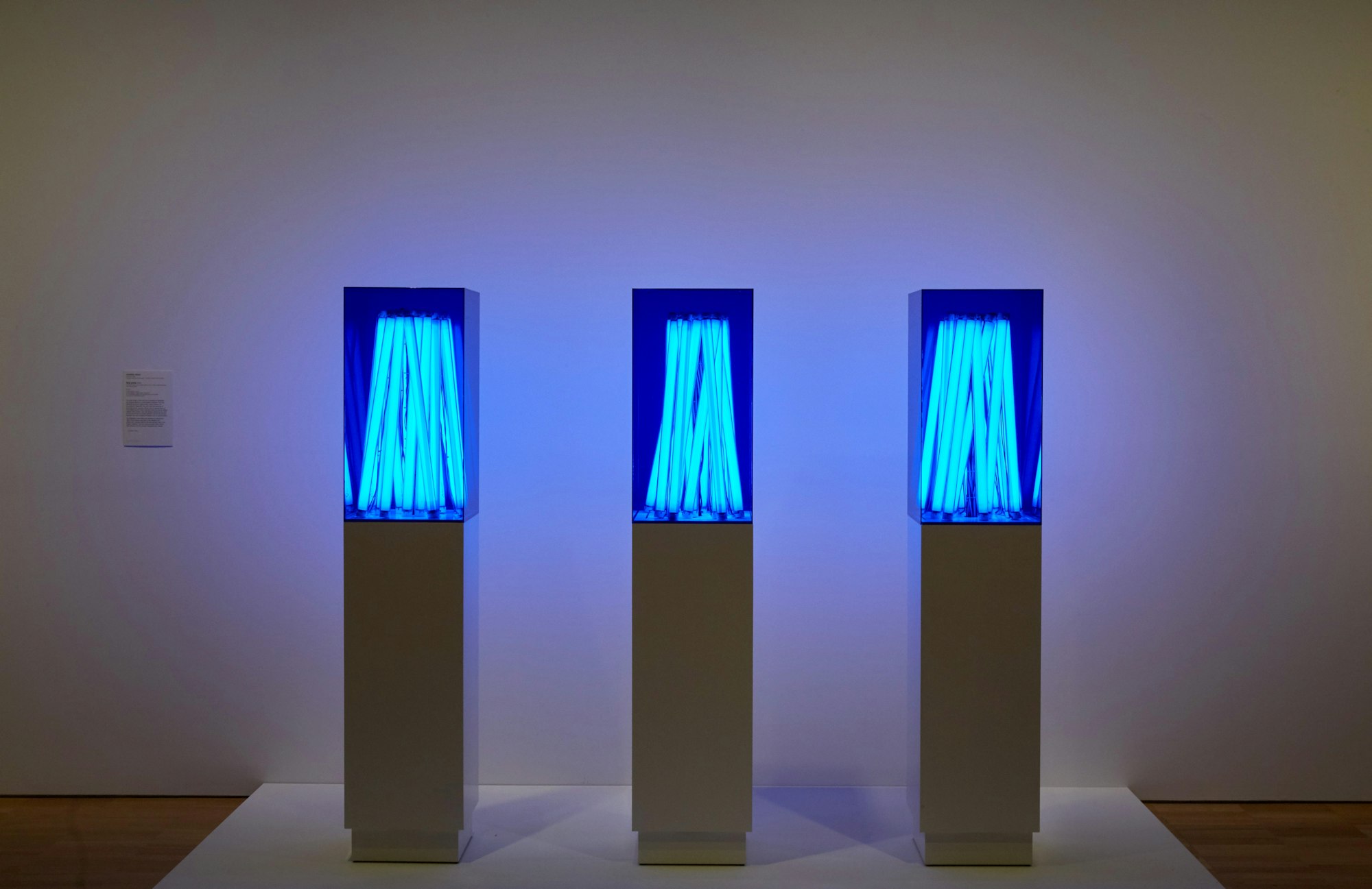 Three narrow plinths each topped with a clear acrylic box containing a cluster of fluorescent tubes, arranged vertically, emitting a cool blue glow. 