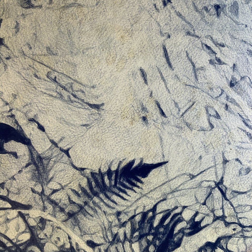 Close-up of a drawing in blue crayon showing leaves.