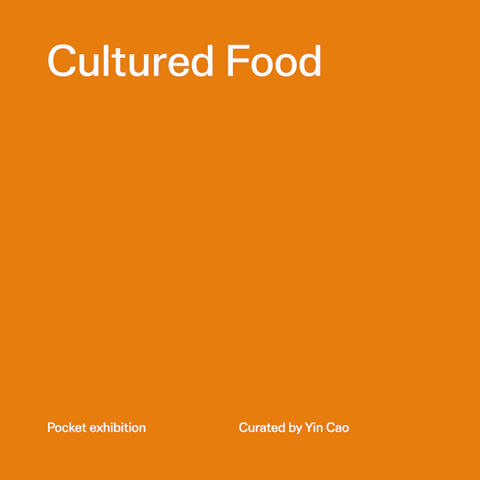 'Cultured Food' pocket exhibition curated by Yin Cao