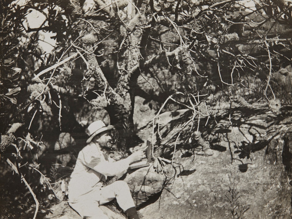 Arthur Streeton at work outdoors in Sydney in 1907. Private collection, Melbourne