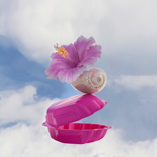 Floating in a cloudy ski is a pink plastic clam shell, partially open, on which is balanced a white spiral shell holding a pink hibiscus flower.
