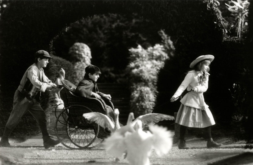 Three children are striding across a gravel pathway. One child sits in a wheelchair. In the foreground are three geese.