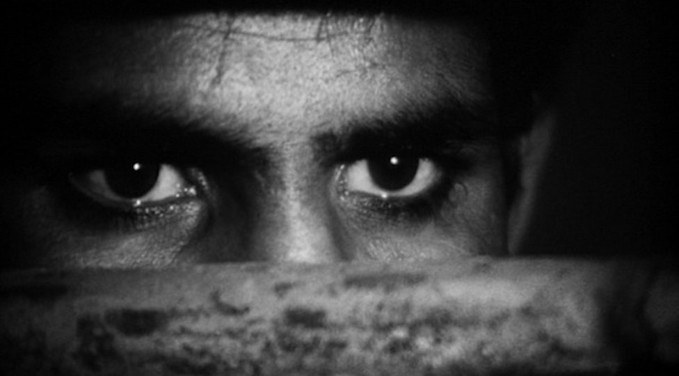 A close up of a person's eyes and nose peering from behind a rough surface.