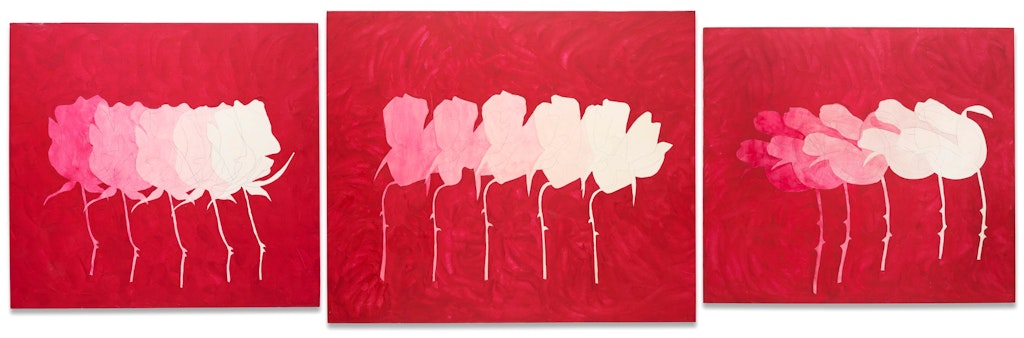 Three panels, each depicting five roses in different shades of pink on a darker reddish pink background.