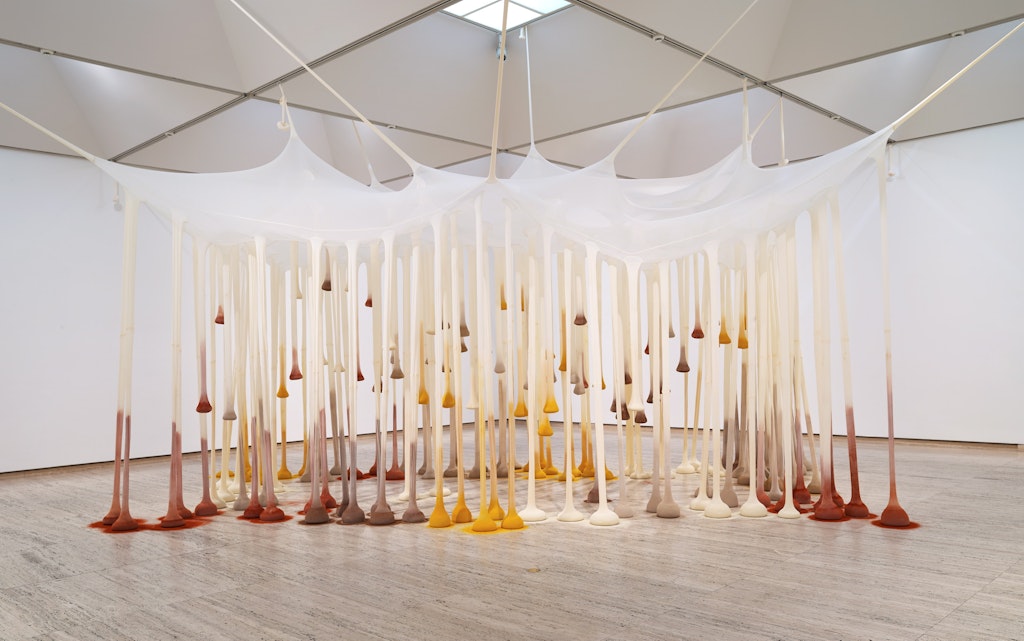 Hanging from a canopy from the roof of a gallery space are a cluster of long stocking-like tubes each filled with a white, grey, reddish brown or yellow powder.