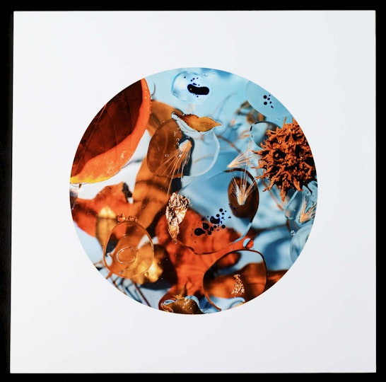 Work by Alexandra Angus, ARTEXPRESS 2022