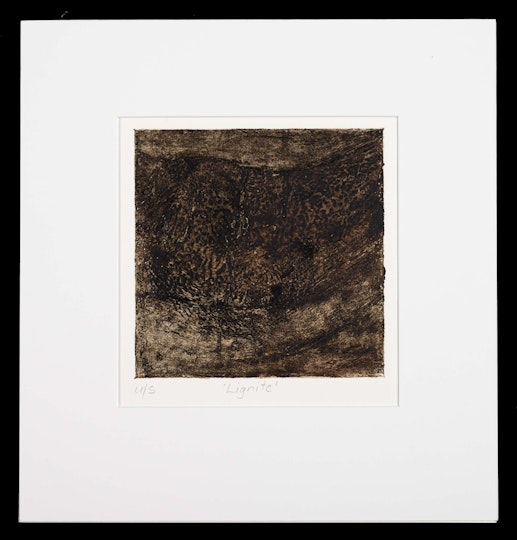 Work by Rebekah Sonja Lee, ARTEXPRESS 2022