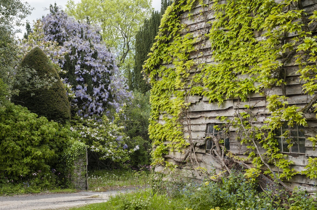 The exterior of Nolan's studio at The Rodd. Photo by Alex Ramsay