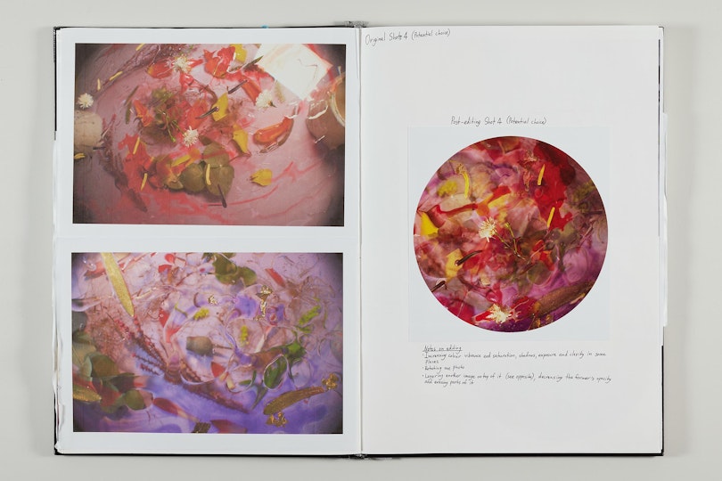 Work by Alexandra Angus, ARTEXPRESS 2022
