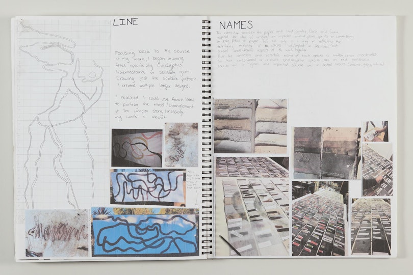 Work by Ella McGaw, ARTEXPRESS 2022