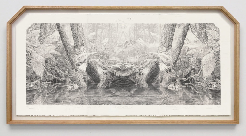 A framed drawing of trees, ferns and other plants beside a body of water.