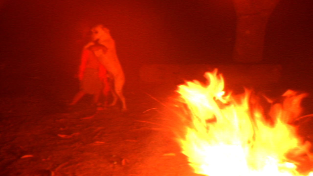 The red light of a bright fire obscures the view of shadowy figures, one of which seems to be a dog on its hind legs.