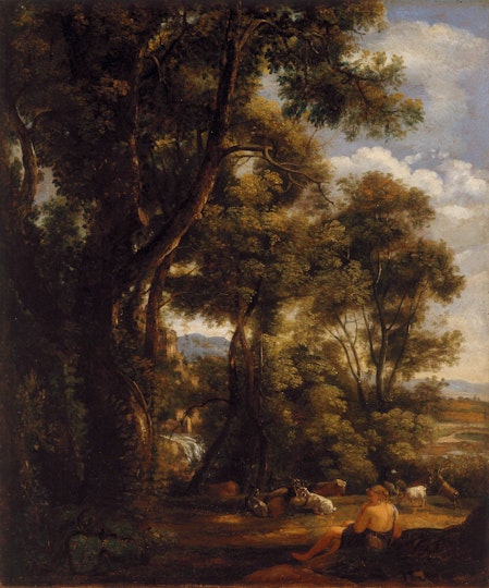 A person sits watching goats under tall trees and a cloudy sky.