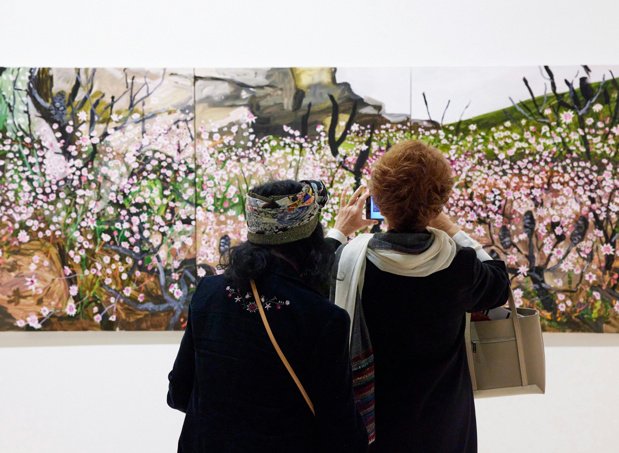 Members viewing