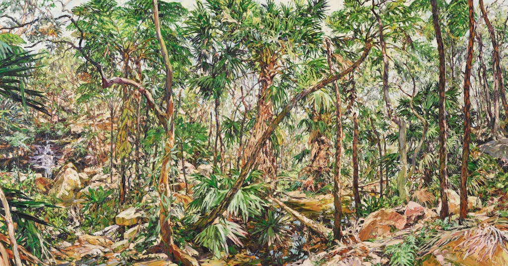 A landscape of trees and ferns among rocks.