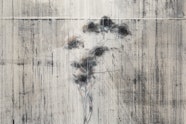 A painting of a single thin tree in shades of grey.