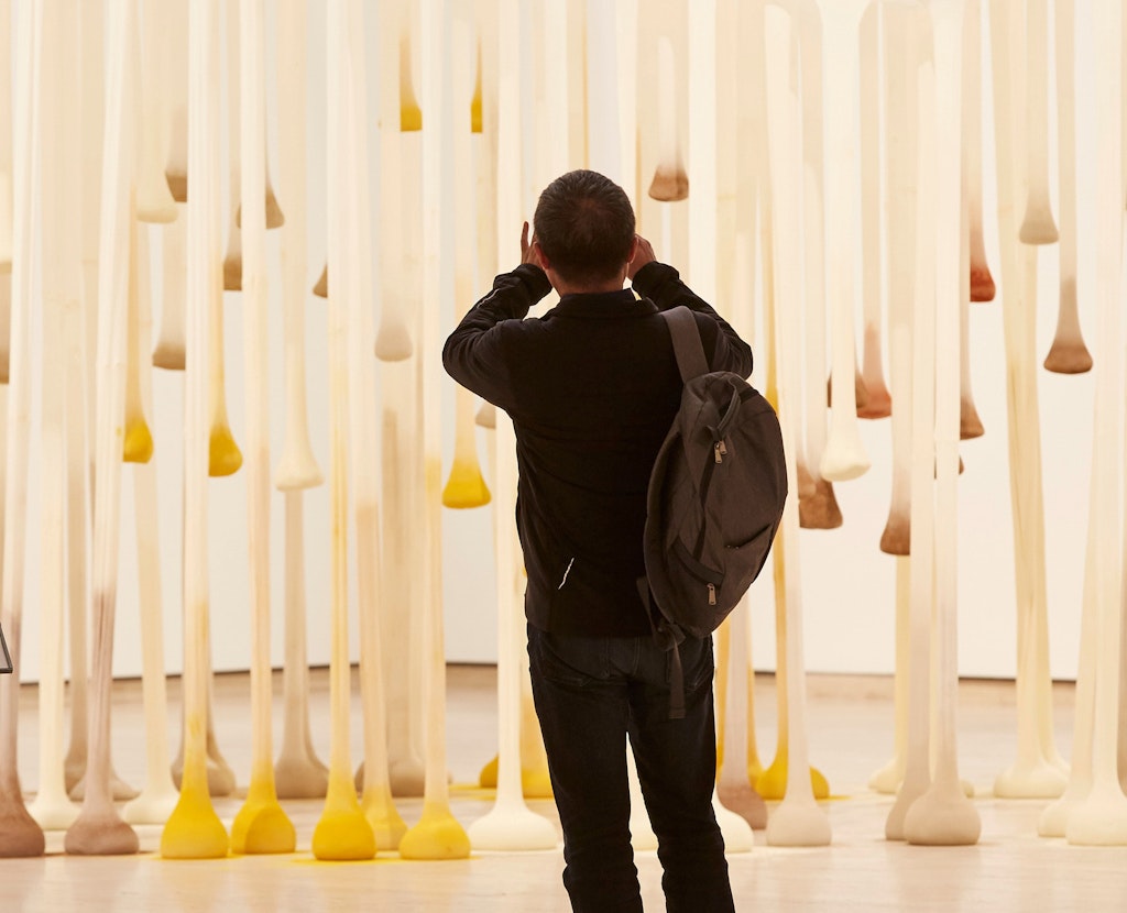A person stands in a room taking a photo of an artwork made of many suspended fabric tubes, partially filled with coloured substances