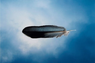 A feather appears horizontally against a blue sky with light clouds