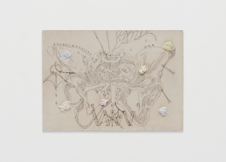 Bill Hawkins Butterfly pelvis 2022, oil and modelling paste on wooden board, 20 x 28 cm