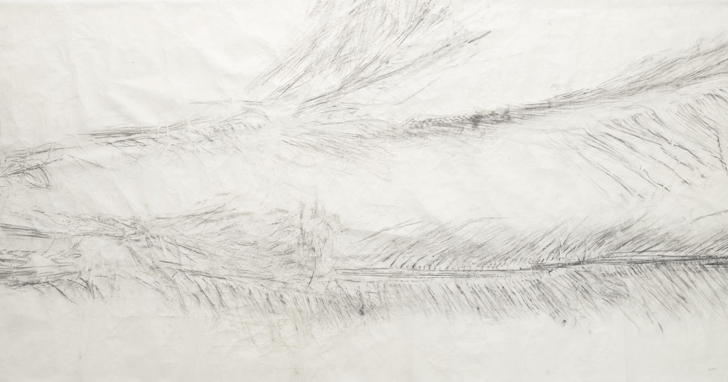 A pencil rubbing on paper of a part of a tree
