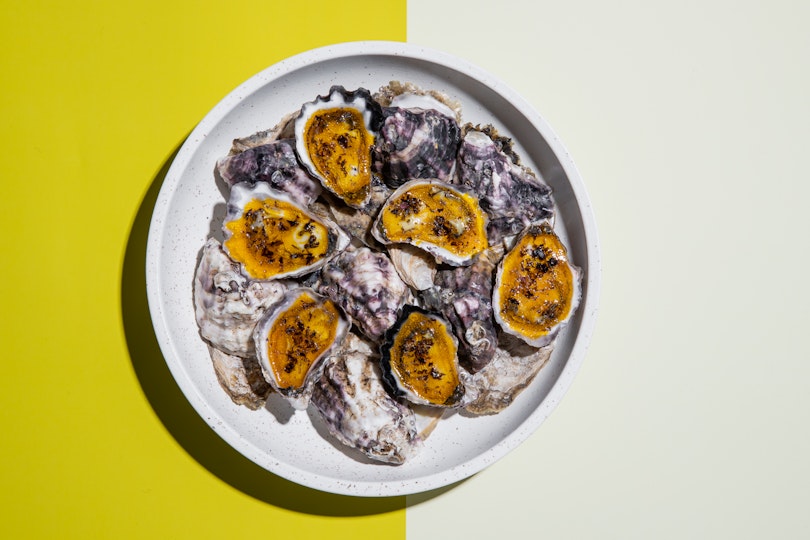 Oysters on a plate