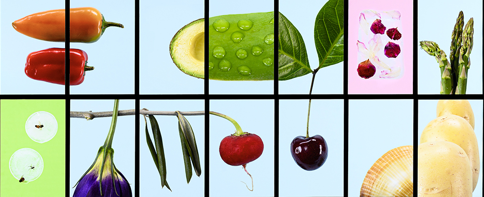 Work by Matthew Zabel, ARTEXPRESS 2023