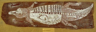 Bark painting of salt water crocodile painted by Kunwinjku artist, Majumbu