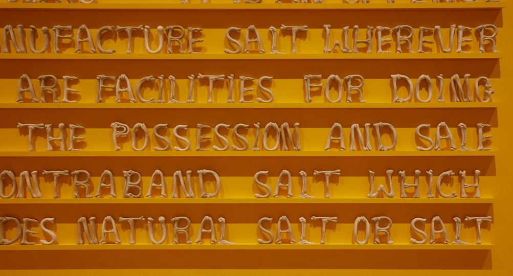 Words and partial words in capital letters arranged on a thin shelf on an orange wall. They say 'NUFACTURE SALT WHEREVER / ARE FACILITIES FOR DOING / THE POSSESSION AND SALE / ONTRABAND SALT WHICH / DES NATURAL SALT OR SALT'