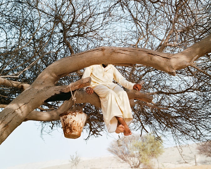A person sitting on a tree branch with a bucket next to them. Their face is obscured by another branch