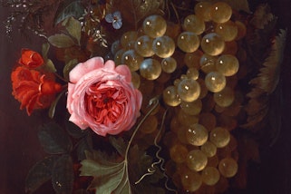 Two large flowers, grapes and leaves
