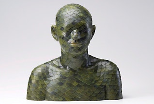 Head and upper torso of a person covered with green scales