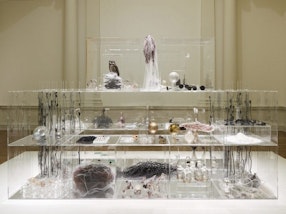 An installation of many items in clear perspex boxes