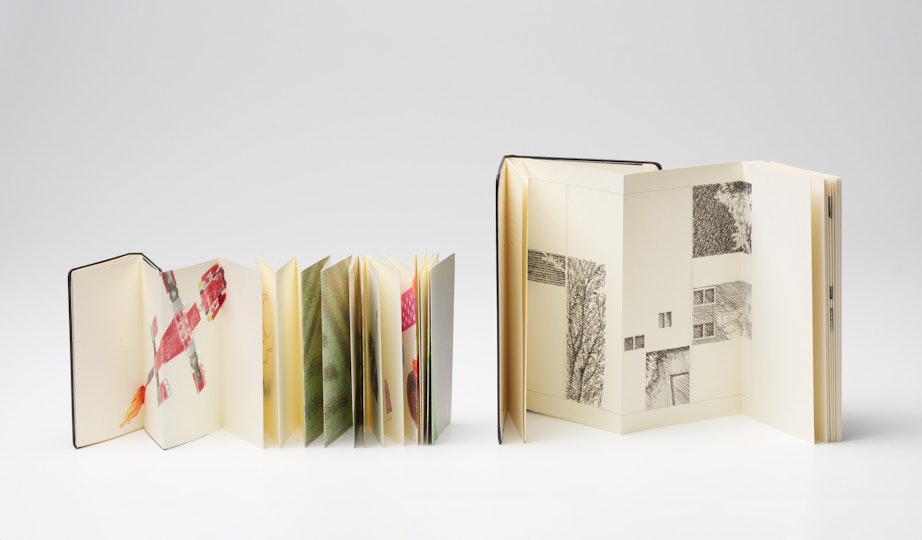 Two concertina-like books of different sizes, each will hand-drawn illustrations