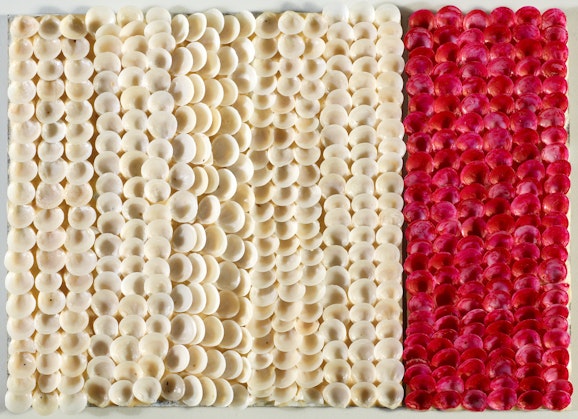 A sculpture of rows of small cream and red shells arranged in columns.