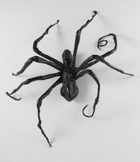 A black wrinkly spider with the ends of a few legs curled or hooked