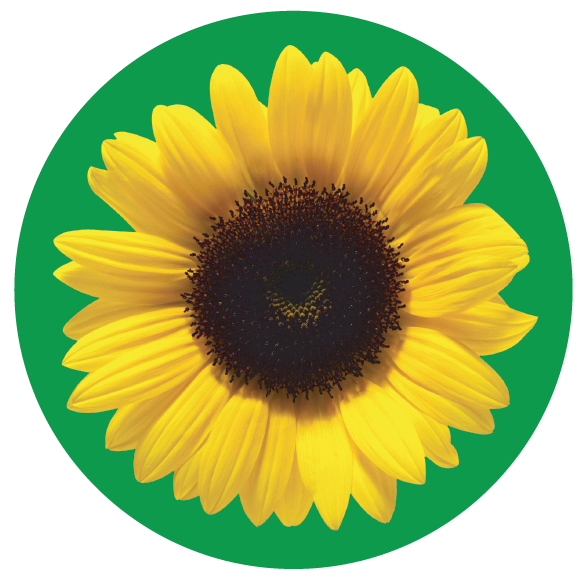 Symbol for Hidden Disabilities Sunflower