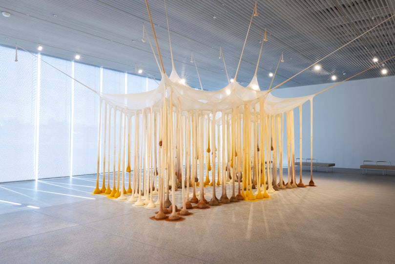Hanging from a canopy from the roof of a gallery space are a cluster of long stocking-like tubes each filled with a white, grey, reddish brown or yellow powder.