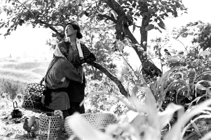 Film series: Japanese Film Festival 2024 | Art Gallery of NSW