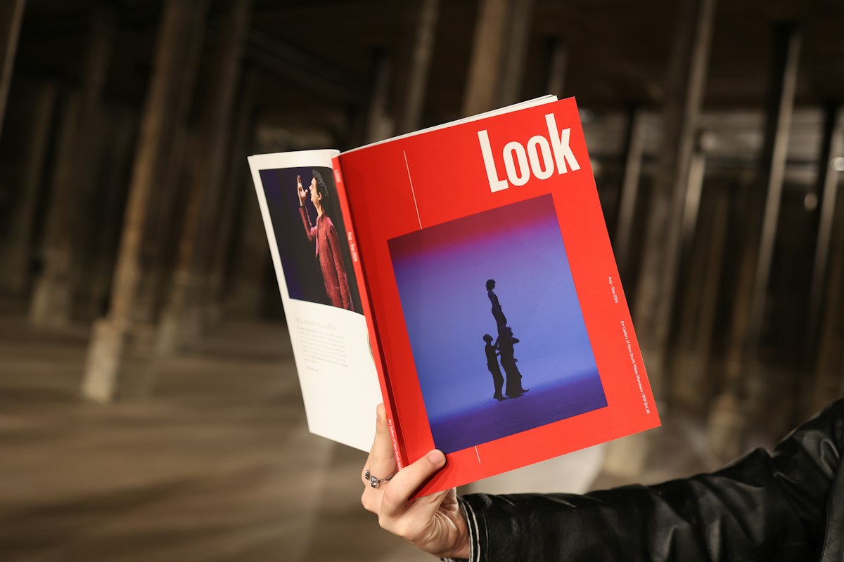 Look magazine | Art Gallery of NSW