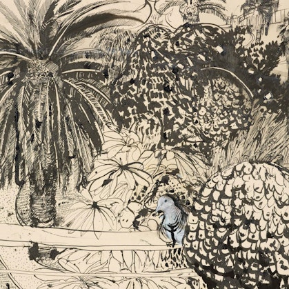 A pen and ink drawing of a pigeon sitting on a railing. Behind it is a view of several tall trees, a pathway and Sydney Harbour/