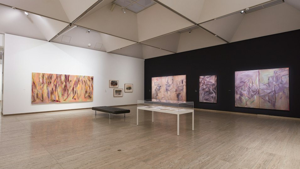 Installation view of the Janet Dawson: Far Away, So Close exhibition at the Art Gallery of New South Wales,  artworks © Janet Dawson
