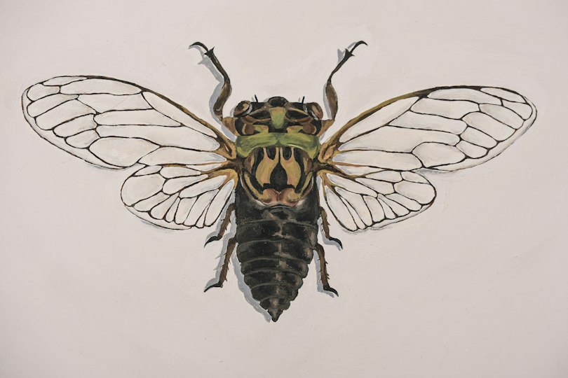 Ruby Daley Ruby Daley | Art Gallery of NSW