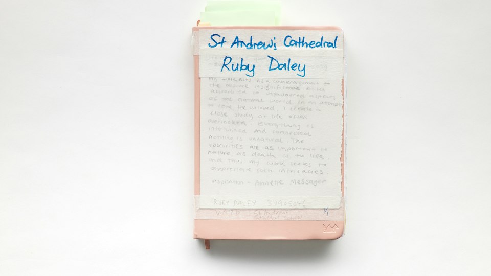 Work by Ruby Daley, ARTEXPRESS 2026