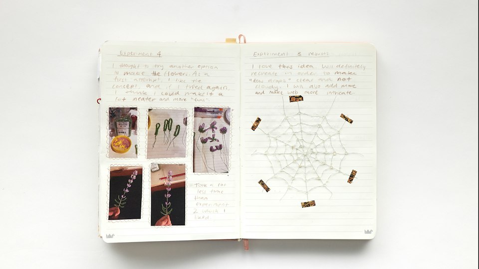 Work by Ruby Daley, ARTEXPRESS 2026