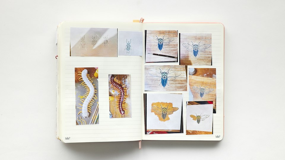Work by Ruby Daley, ARTEXPRESS 2026