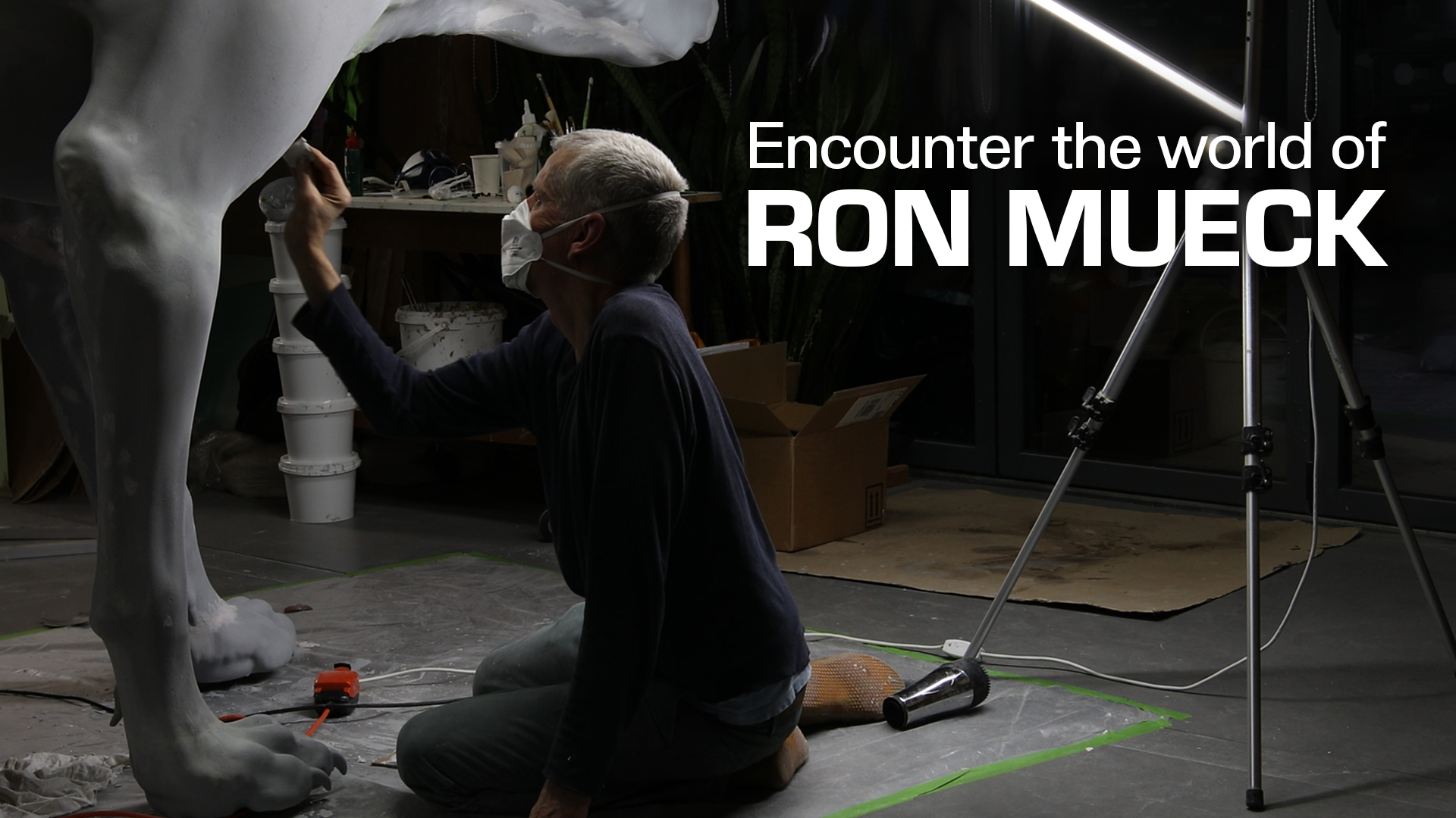 Ron Mueck: Encounter | Art Gallery of NSW