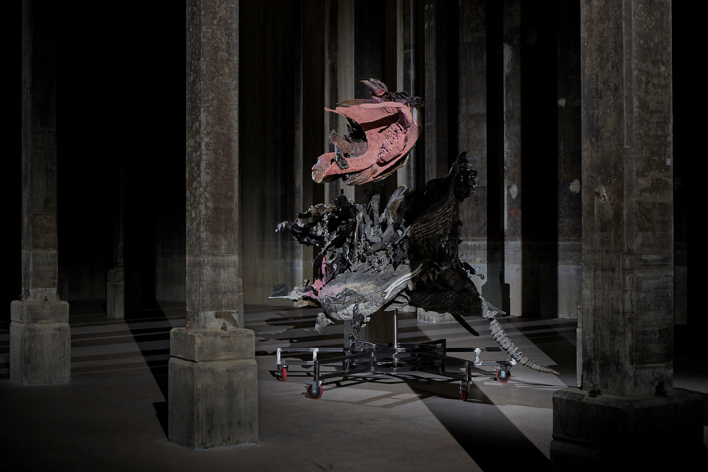 Auslan tour: Proximate Cosmologies