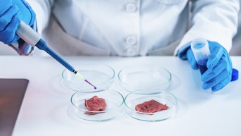 Predictions about the future of cultured meat and its potential disrupt the entire food industry