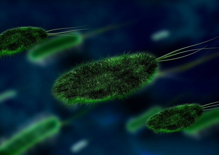 bacterii, virusuri